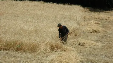 Malatya'da Kuraklık İçin 11 Bin Çiftçi Başvurdu