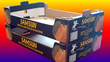 Samsun İl Özel İdaresi'nden Üreticilere Modern Ambalaj Tesisi