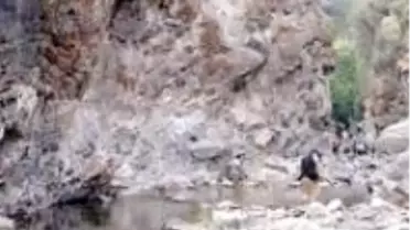 Vahşi Güzellik Yine Can Aldı
