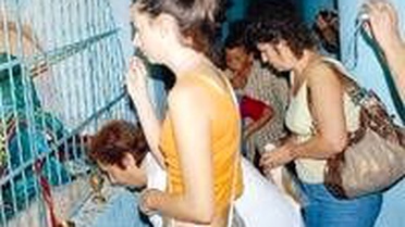 Müslümanlar ile Hıristiyanlar Aynı Türbede