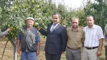 Deveci Armudu Üreticinin Yüzü Güldürdü