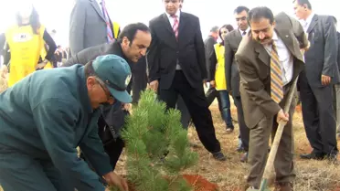 Tokat'ta 250 Adet Fidan Toprakla Buluştu