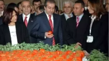 İslam Kalkınma Bankası'ndan Türkiye'ye Hibe