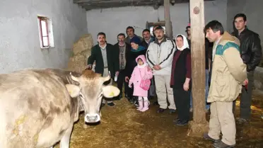 Tarım İl Müdürlüğü'nün Verdiği Hayvanlarda Brusella Çıktı