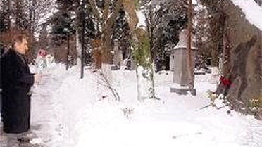 Günay'dan Názım'a Kırmızı-beyaz Güller
