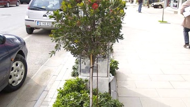 Yalova Çiçek Açacak