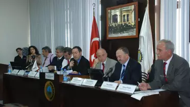 Doğaltaş ve Mermer Paneli