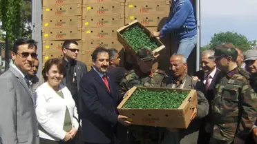 2008 Yılı Hasat Açılışı