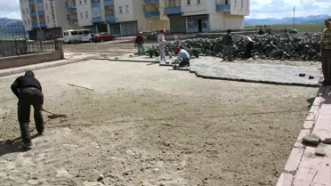 Dadaşkent'te Yaz Dönemi Çalışmaları