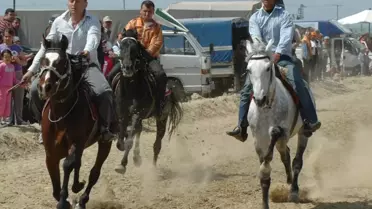 Turgutlu'da, Rahvan At Yarışları Nefes Kesti