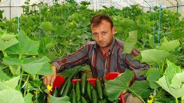 Sarıgöllü Çiftçi, Köylülere Seracılığı Öğretiyor