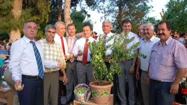 Protokole Dalında Erik İkramı