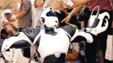 Robot Titan Türkiye'de