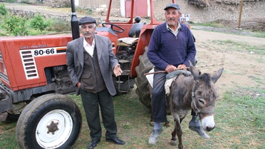 Mazot Fiyatları Yükseldi, Eşek Kıymete Bindi