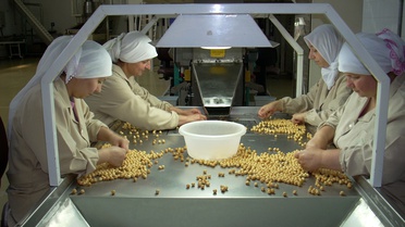 Düzce Tso'dan Fındık Fabrikasına Ziyaret