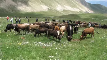 Erzurum'da Mera Açılışı...