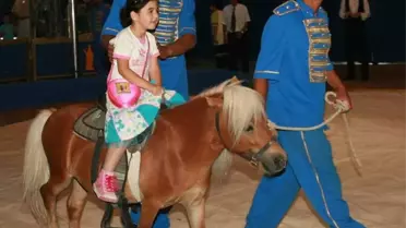 Royal Sirki İzmit'te