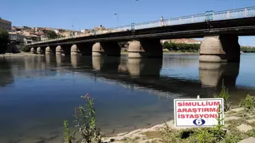 Kızılırmak Nehri'nde Sinekle Mücadele Çalışması