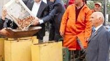 İstanbul'un Laleleri Silivri'de Dikildi