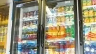 Pepsi, 100 Bin Soğutucuyu 'Yeşil'e Dönüştürüyor 50 Bin Ağaç Kurtuluyor