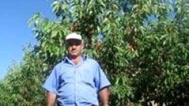 Toroslar'daki Kiraz Bahçeleri Kazandırıyor
