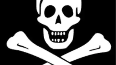 Korsanın İlginç Projesi Para Kazandırıyor...