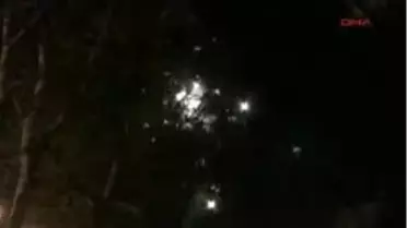 Sığırcıklar Geri Döndü