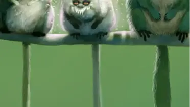 Cebe Özel 20 Yeni Duvar Kâğıdı