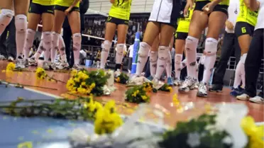 Sarı Melekler Finalde