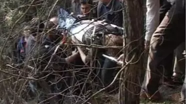 Adana'da Trafik Kazası: 1 Ölü, 3 Yaralı