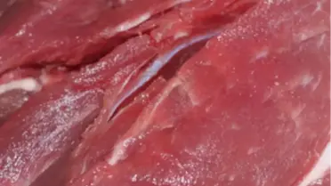 Sp Et İthalatı Konusundaki Çekincesini Açıkladı