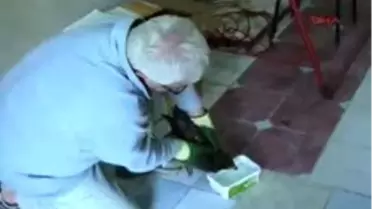 Tekirdağ - Yaralı Doğan İçin Kapı Kapı Yardım Arıyor