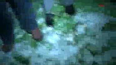 Osmaniye'De Dolu Çiftçiyi Vurdu