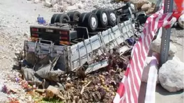 Üniversitelilerin Yolculuğu Ölümle Bitti