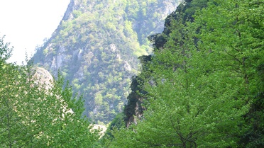 Kartepe'nin Dağ Köylerinde Yolculuğa Davet 




