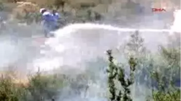 Bodrum'Da 20 Dönümlük Alan Kül Oldu