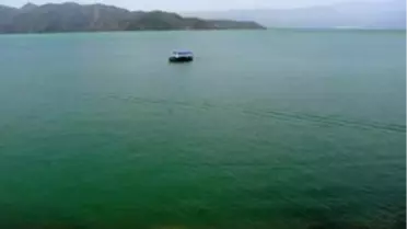 Köyceğiz'de Erken Plankton Patlaması