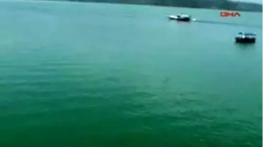 Köyceğiz - Erken Plankton Patlaması