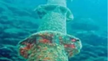 İnternet: Felaket Senaryosu!