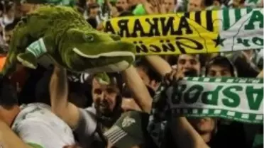 Melbourne Yeşil-beyaz