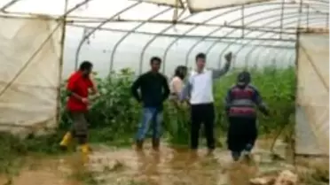 Yağış Seraları Vurdu