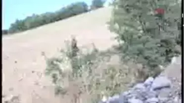 Tunceli - Midibüs Şerit İhlali Yaptı Faciadan Dönüldü