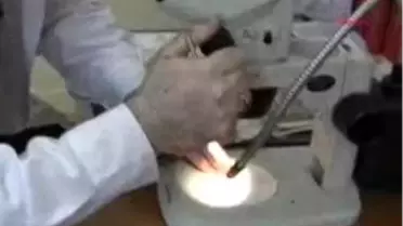 Van - Bitki Kaçakçısı Macar´A 20 Bin Lira Ceza