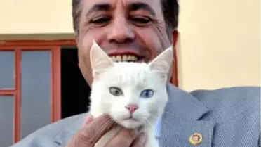 Ankara Büyükşehir Belediyesi'nin Yeni Logosu Van'da da Tartışılıyor