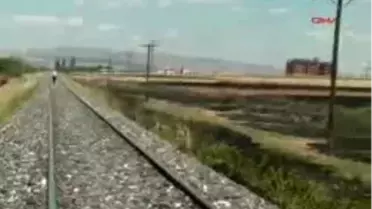 Elazığ´Da 50 Dönümlük Ekili Alan Yandı