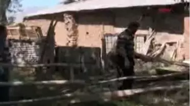 Erzincan-Ahırda Yangın Çıktı, 4 Hayvan Telef Oldu