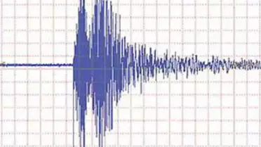 Oniki Adalar'daki 4.7'lik Deprem, Hissedildi
