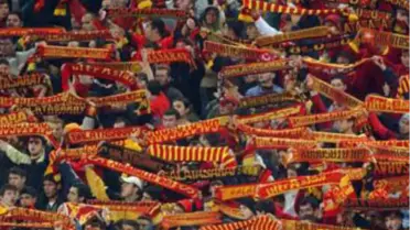 Aslan Çok 'Fark'lı