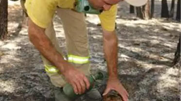 Kaplumbağanın Kurtuluşu