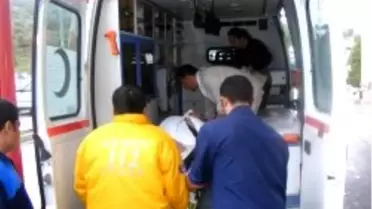 Rus Turistleri Taşıyan Minibüs Devrildi